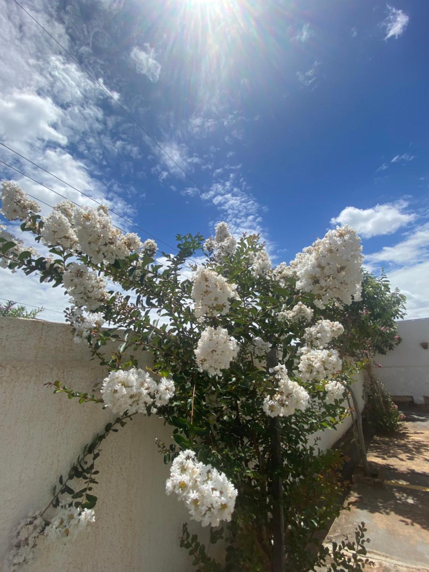 Queiroz Palace Hotel Siqueira Campos 外观 照片