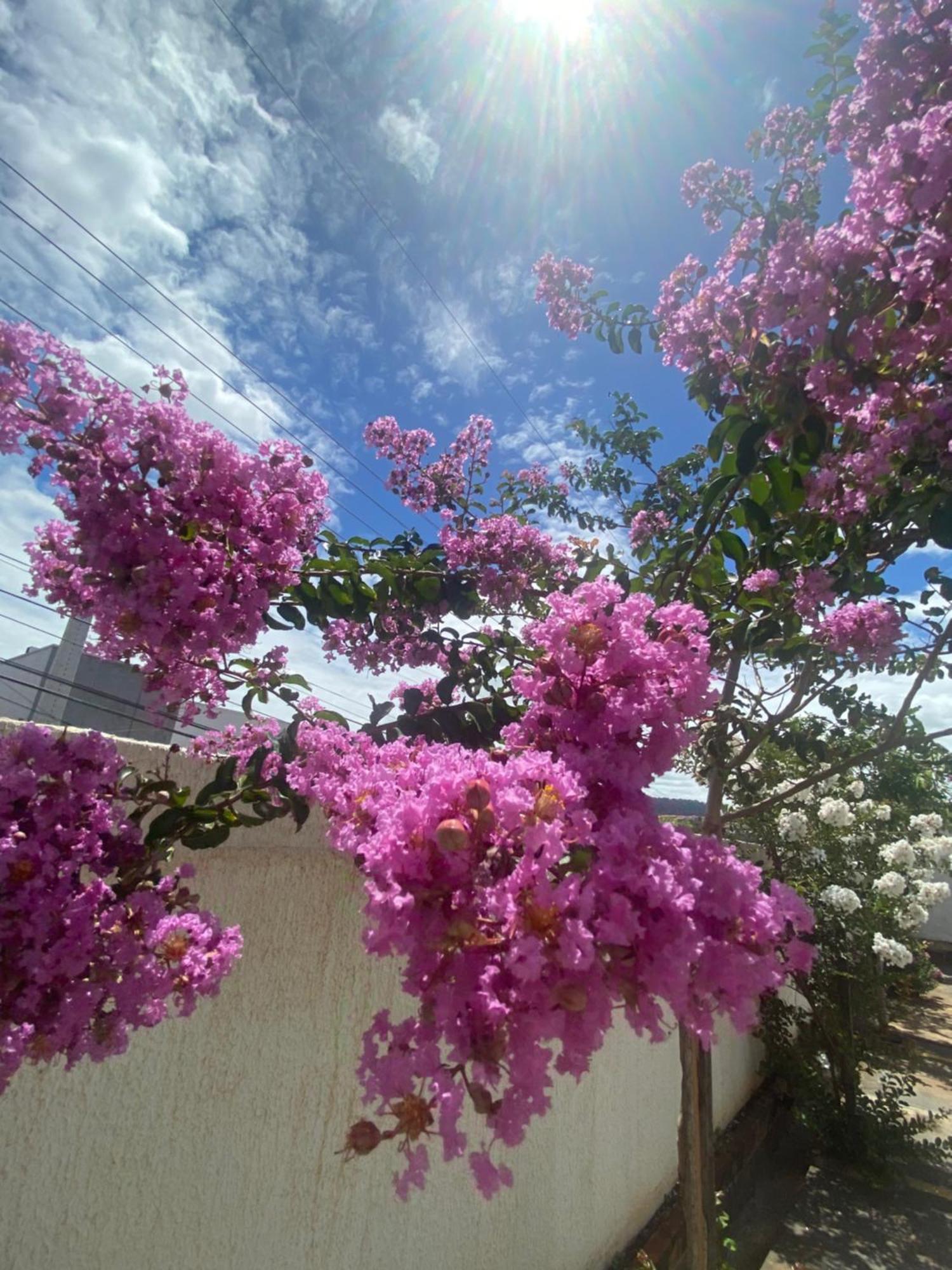 Queiroz Palace Hotel Siqueira Campos 外观 照片