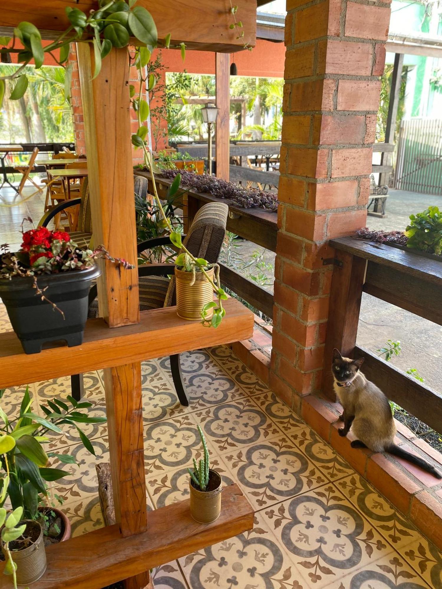 Queiroz Palace Hotel Siqueira Campos 外观 照片